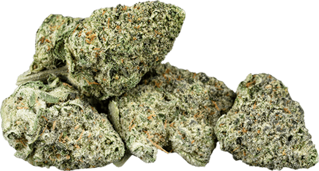 Berry Fritter