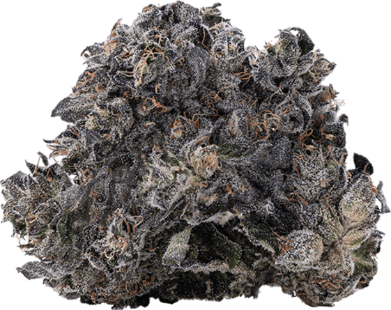 Mint Diesel